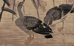 边寿民《芦雁图立轴纸本》赏析 历代国画 第1张