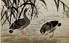 清 边寿民 晴沙集影图轴 赏析 历代国画 第1张