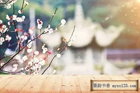 《礼记》千古智慧，中华礼仪之美 书画知识 第1张