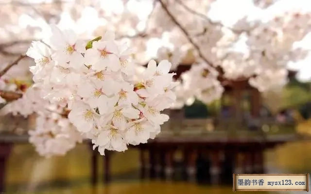 《礼记》千古智慧，中华礼仪之美 书画知识 第2张