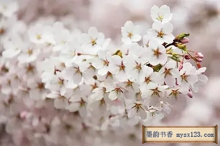 《礼记》千古智慧，中华礼仪之美 书画知识 第3张