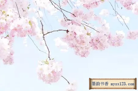 《礼记》千古智慧，中华礼仪之美 书画知识 第5张