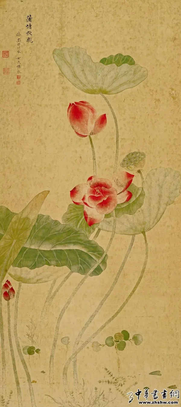拂拂红香 满镜湖——《蒲塘秋艳图》赏析 历代国画 第1张-墨韵书香