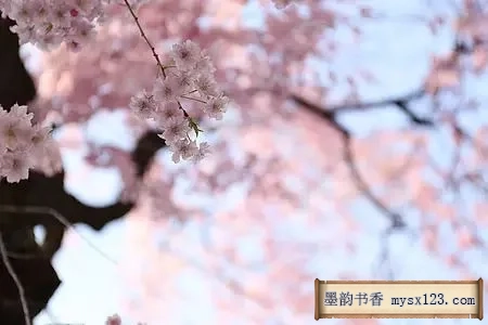 《礼记》千古智慧，中华礼仪之美 书画知识 第6张