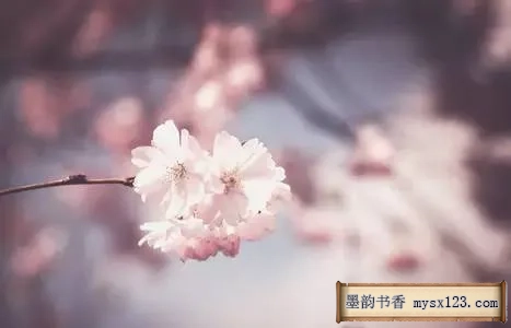 《礼记》千古智慧，中华礼仪之美 书画知识 第7张