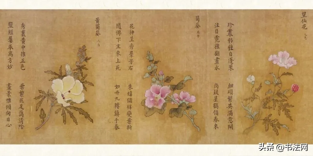 这位“平民皇后”的书法,美得令人窒息,跟宋徽宗相比也毫不逊色 历代书法 第7张-墨韵书香
