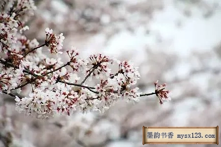 《礼记》千古智慧，中华礼仪之美 书画知识 第8张