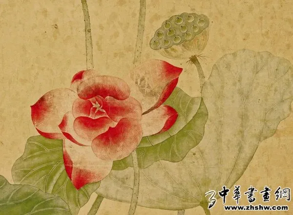 拂拂红香 满镜湖——《蒲塘秋艳图》赏析 历代国画 第2张-墨韵书香