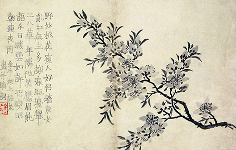 金农《花卉图册》古朴拙趣的笔法神韵淡雅墨色的灵动运用- 墨韵书香