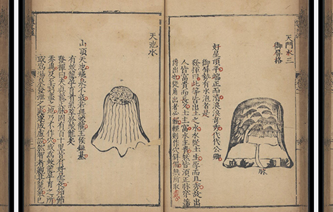 宋代 张洞玄 《玉髓真经》 古籍善本 第1张