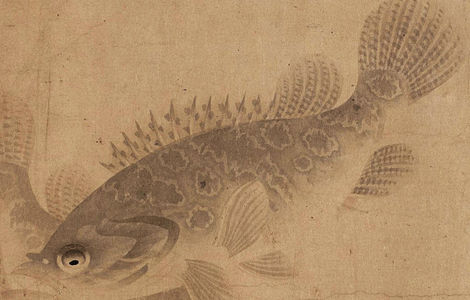 元 周东卿 鱼乐图卷纸本32.1x1122 历代国画 第3张