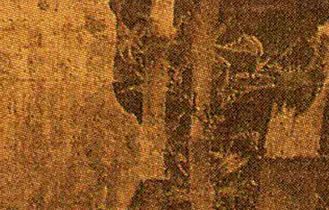 五代 徐熙·雪竹图38x25 历代国画 第3张