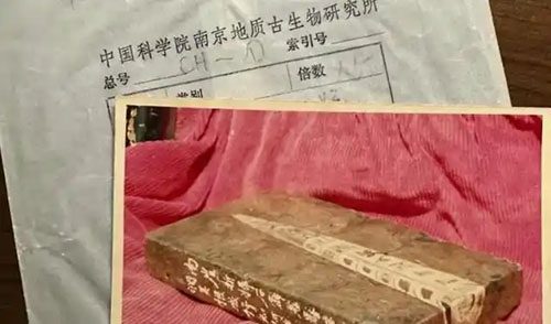 惊世发现！村民挖出4亿年前化石，竟有北宋大家题字 书画知识 第6张