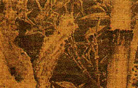 五代 徐熙·雪竹图38x25 历代国画 第3张