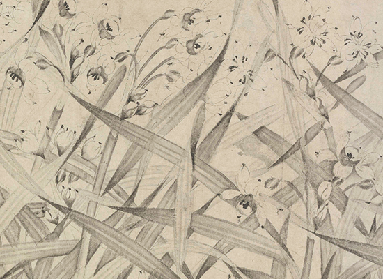 元 王迪简 水仙图残卷（纸本）39X415故宫博物院藏