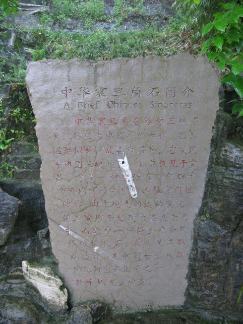 惊世发现！村民挖出4亿年前化石，竟有北宋大家题字 书画知识 第12张