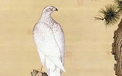 雍正寿礼背后:郎世宁《嵩献英芝图》藏在清宫廷画卷里的吉祥密码与艺术融合 历代国画 第1张-墨韵书香