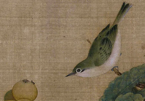南宋小画里的「枇杷与鸟虫恩怨」：故宫藏画里藏着哪些趣事儿？ 历代国画 第2张