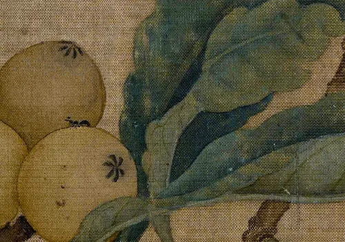 南宋小画里的「枇杷与鸟虫恩怨」：故宫藏画里藏着哪些趣事儿？ 历代国画 第8张