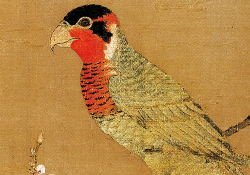 宋 赵佶《五色鹦鹉图》绢本 欣赏 历代国画 第3张