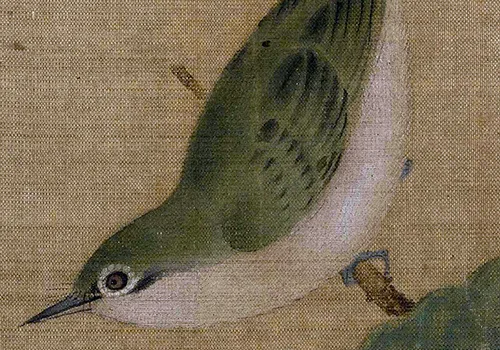 南宋小画里的「枇杷与鸟虫恩怨」：故宫藏画里藏着哪些趣事儿？ 历代国画 第7张