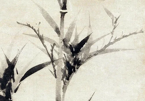 乾隆盖章认证的 “竹界顶流”：这棵 600 岁的竹子凭啥火？ 历代国画 第6张