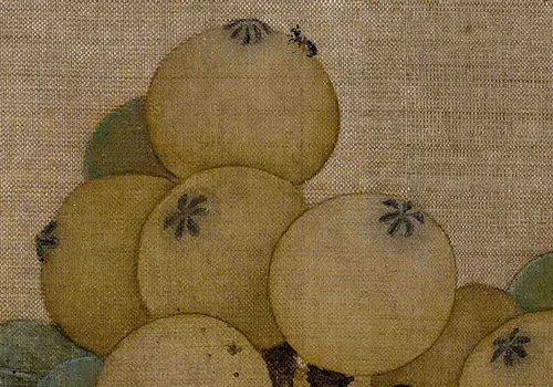 南宋小画里的「枇杷与鸟虫恩怨」：故宫藏画里藏着哪些趣事儿？ 历代国画 第6张
