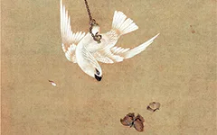 清 胡湄《鹦鹉戏蝶图》“仙笔”绘画技艺欣赏 历代国画 第1张