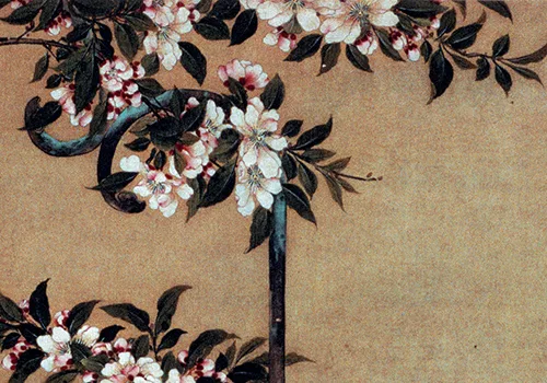 清 胡湄《鹦鹉戏蝶图》“仙笔”绘画技艺欣赏 历代国画 第6张