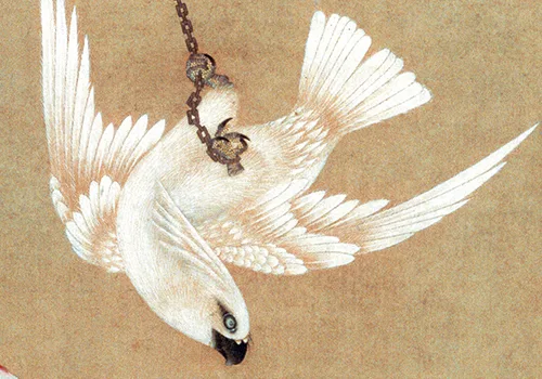 清 胡湄《鹦鹉戏蝶图》“仙笔”绘画技艺欣赏 历代国画 第2张