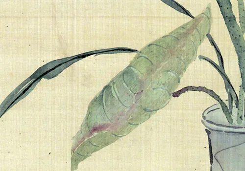 《赐莲图轴》皇帝送莲花，大臣画名画，后来他们都去编字典了？ 历代国画 第5张