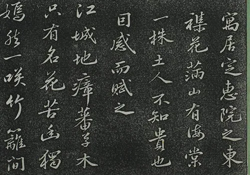 东坡先生的海棠心事：被贬后，我把孤独说给花儿听 《定惠院海棠诗卷》 历代书法 第2张