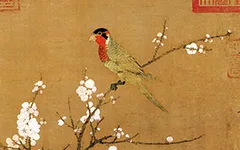 宋 赵佶《五色鹦鹉图》绢本 欣赏 历代国画 第1张