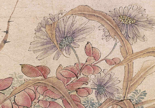 北宋赵昌《写生蛱蝶图》赏析 “写生花鸟画的典范” 历代国画 第16张