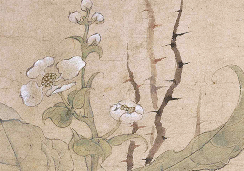 北宋赵昌《写生蛱蝶图》赏析 “写生花鸟画的典范” 历代国画 第14张