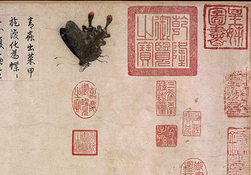 北宋赵昌《写生蛱蝶图》赏析 “写生花鸟画的典范” 历代国画 第7张
