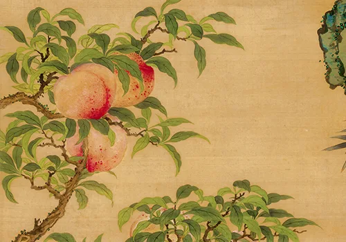 清 邹一桂《蟠桃图》绢本设色 北京故宫博物院 历代国画 第5张