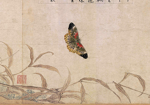 北宋赵昌《写生蛱蝶图》赏析 “写生花鸟画的典范” 历代国画 第6张