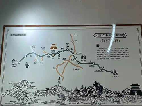 荔枝道考古现场：原来杨贵妃吃的荔枝真不是从广东运来的！ 书画知识 第7张