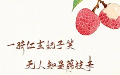 荔枝道考古现场：原来杨贵妃吃的荔枝真不是从广东运来的！ 书画知识 第1张