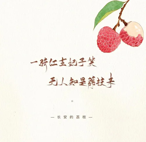 荔枝道考古现场：原来杨贵妃吃的荔枝真不是从广东运来的！ 书画知识 第5张