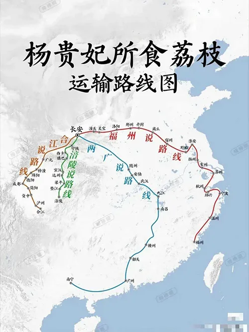 荔枝道考古现场：原来杨贵妃吃的荔枝真不是从广东运来的！ 书画知识 第6张