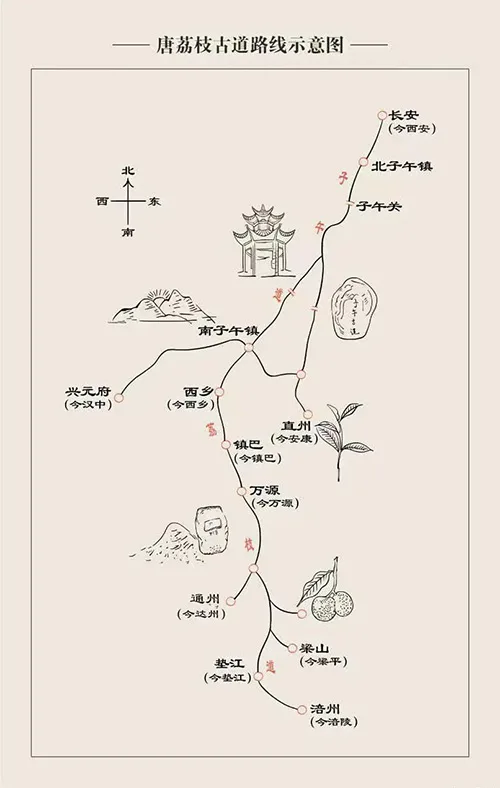 荔枝道考古现场：原来杨贵妃吃的荔枝真不是从广东运来的！ 书画知识 第9张