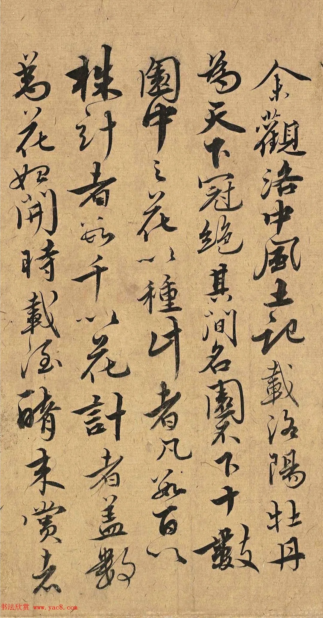 《永乐大典》副总裁王偁书法欣赏 历代书法 第3张-墨韵书香 《永乐大典》副总裁王偁书法欣赏 历代书法 第3张