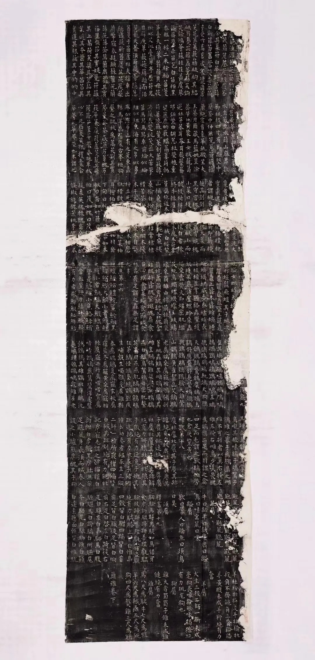 徐清 | 欧虞书风，对后世影响有多深？ 历代书法 第7张