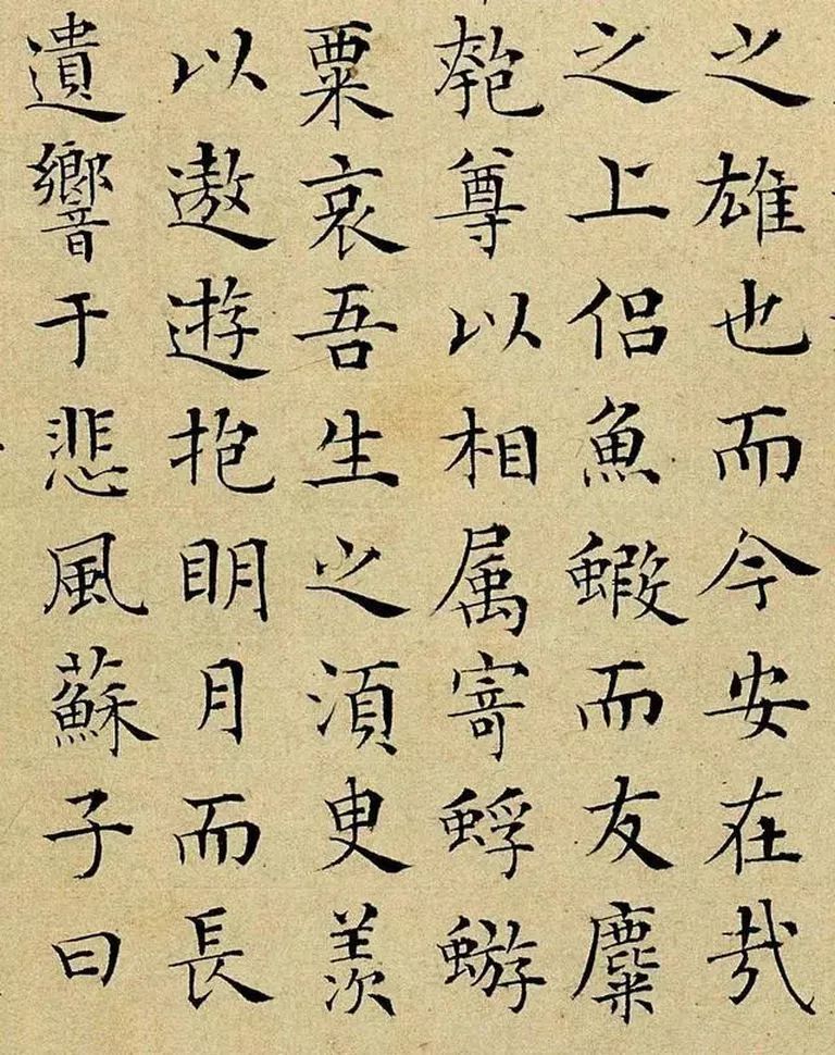 历代名家书《赤壁赋》,好文与好字的精彩碰撞! 历代书法 第63张-墨韵书香 历代名家书《赤壁赋》,好文与好字的精彩碰撞! 历代书法 第63张