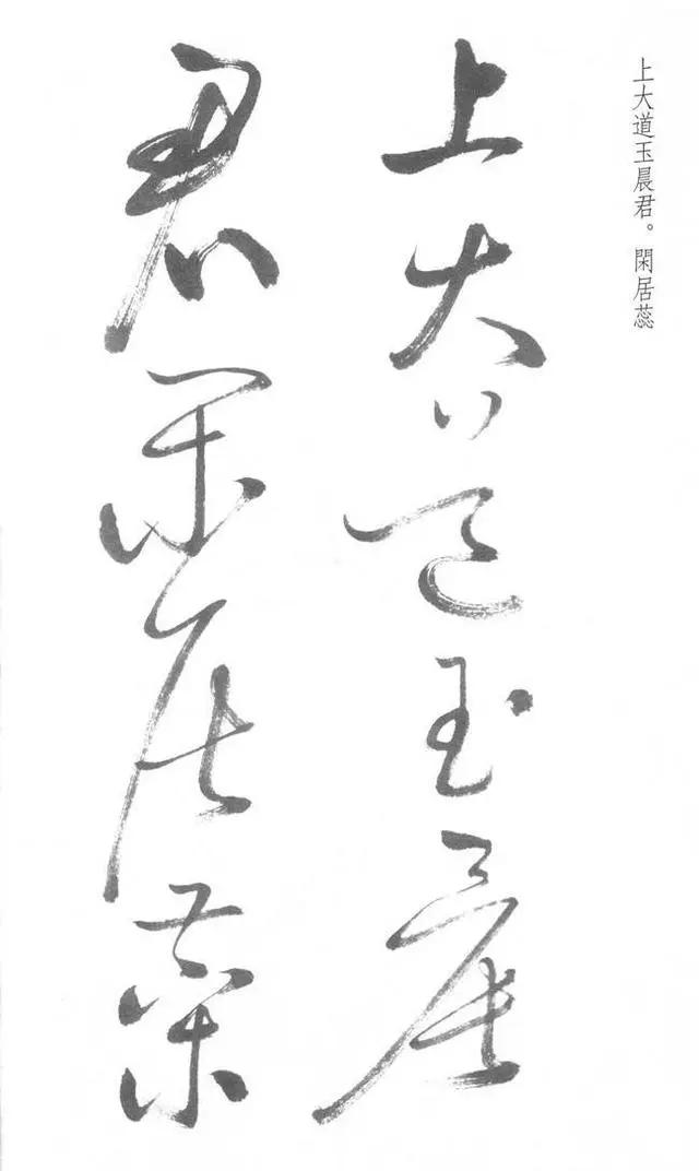 启功草书写经,不多见! 历代书法 第8张-墨韵书香