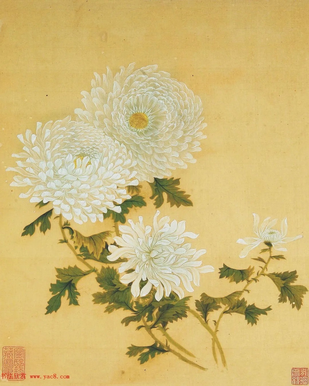 清代书法家湛畗书《菊谱》册页（高清大图） 历代书法 第17张