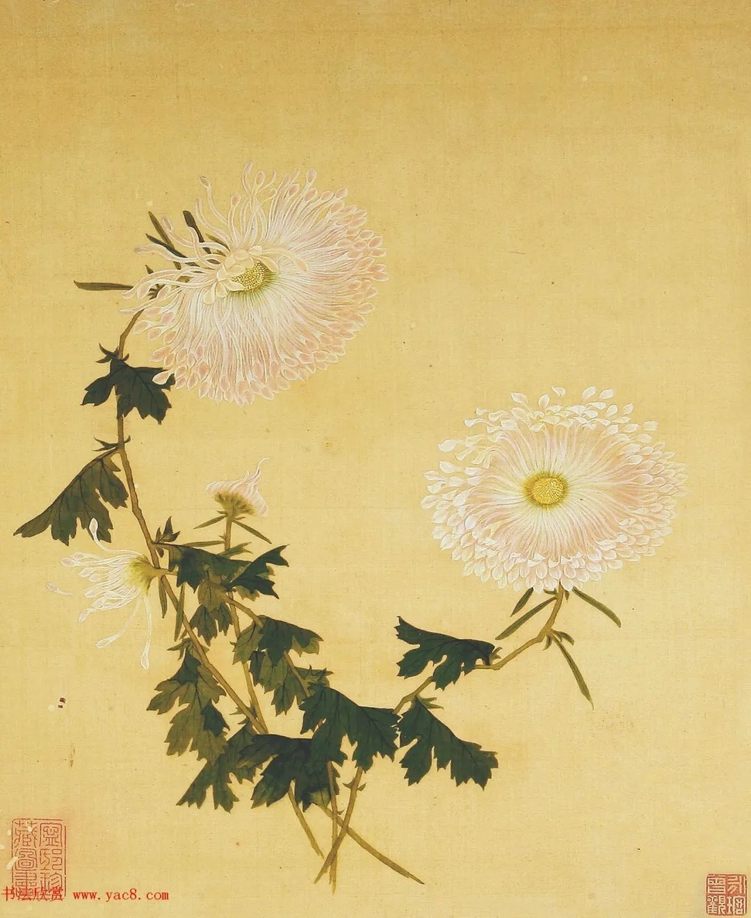 清代书法家湛畗书《菊谱》册页（高清大图） 历代书法 第21张