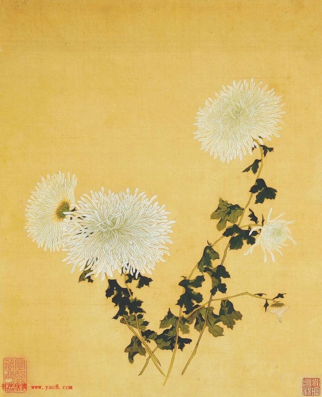 清代书法家湛畗书《菊谱》册页（高清大图） 历代书法 第29张